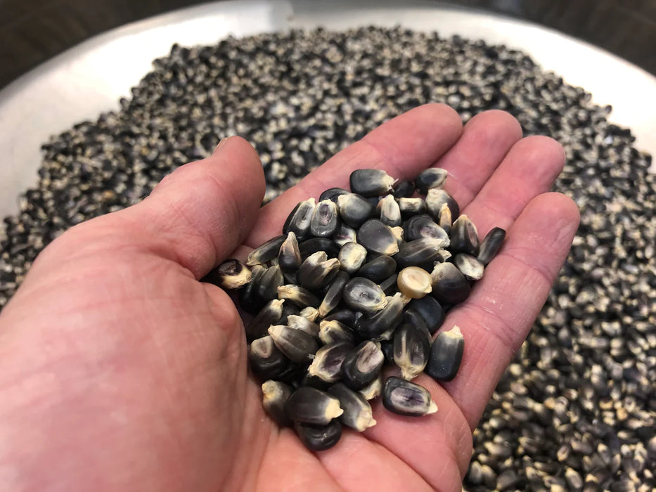 Blue Cornmeal - Organic (Fine Grind) 16oz - very limited stock!