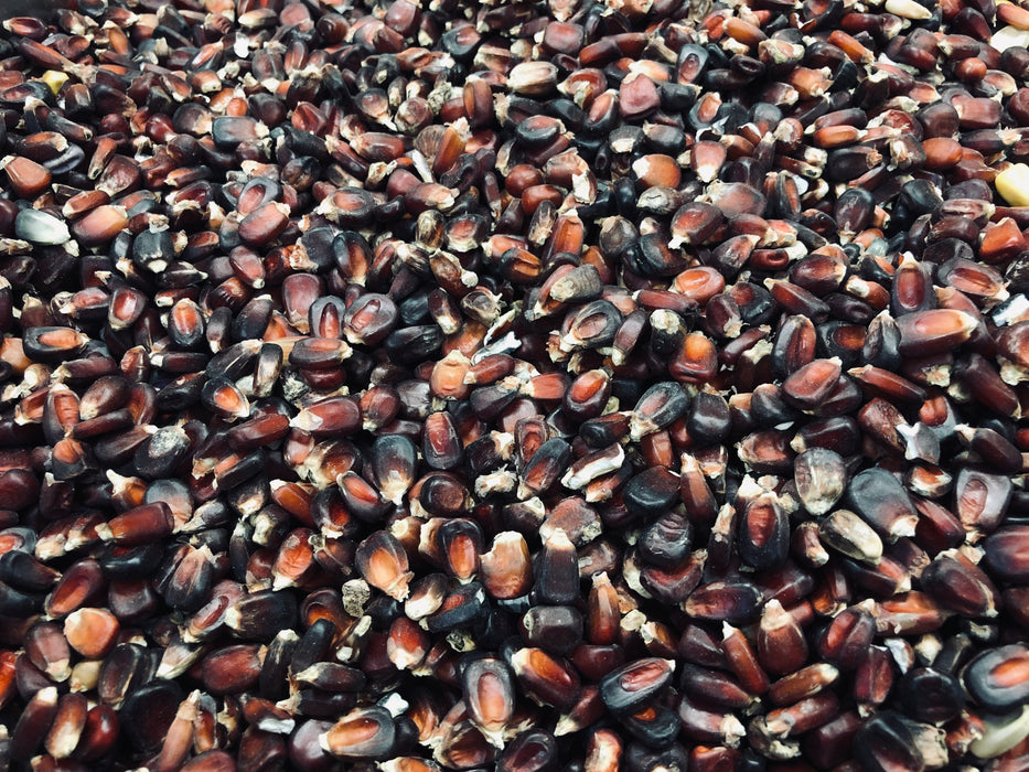 Heirloom Jimmy Red Corn.  Off the cob before we mill it.
